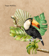 Watercolor Toucan Birthday